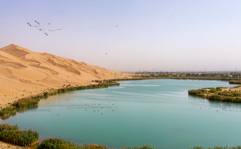 Ningxia Sand Lake Guide: Where Desert Meets a Reed-Fringed Lake