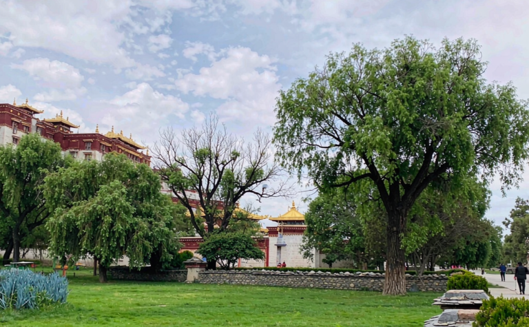Norbulingka Summer Palace, Tibet, China