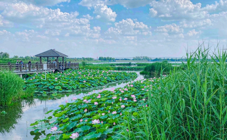 Qianjiang Travel Guide: Hubei’s Crayfish Capital and Water Town