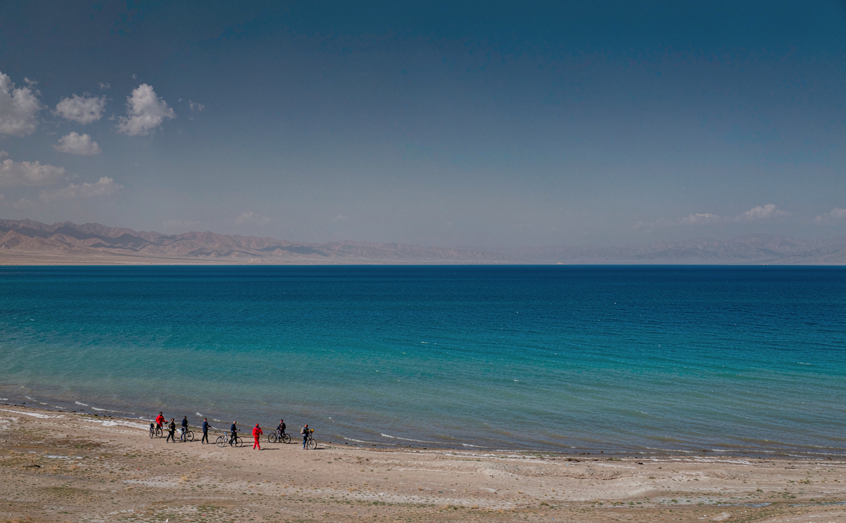 Wide blue Qinghai Lake with yaks grazing on the shore at sunrise, Qinghai province