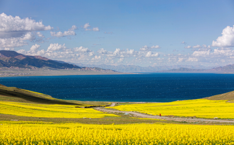 Qinghai Lake Guide: the High-Plateau’s Vast Blue Mirror, China
