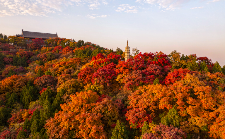 Qixia Mountain, Nanjing: Autumn Maple Temple Grove