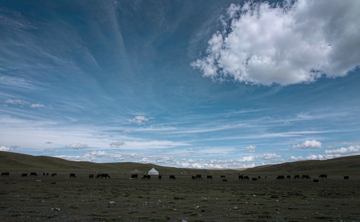 Shiqu Zhaxika grassland with nomad tent