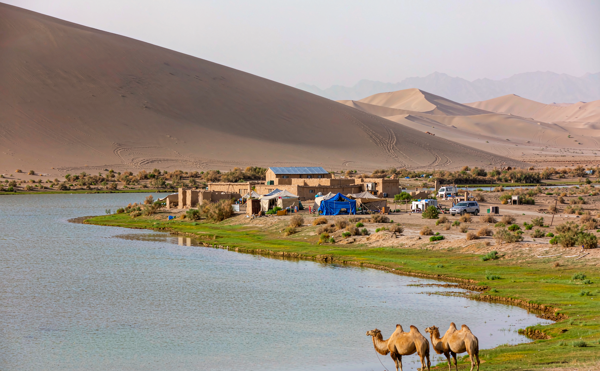 Desert lakeside campsite with camels near Shizuishan, Ningxia