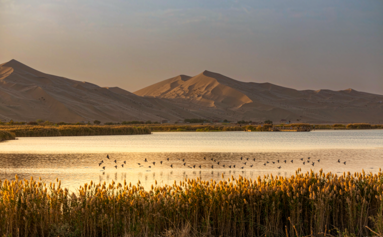 Shizuishan Travel Guide: Shahu Lake, Desert Edge and Coal City
