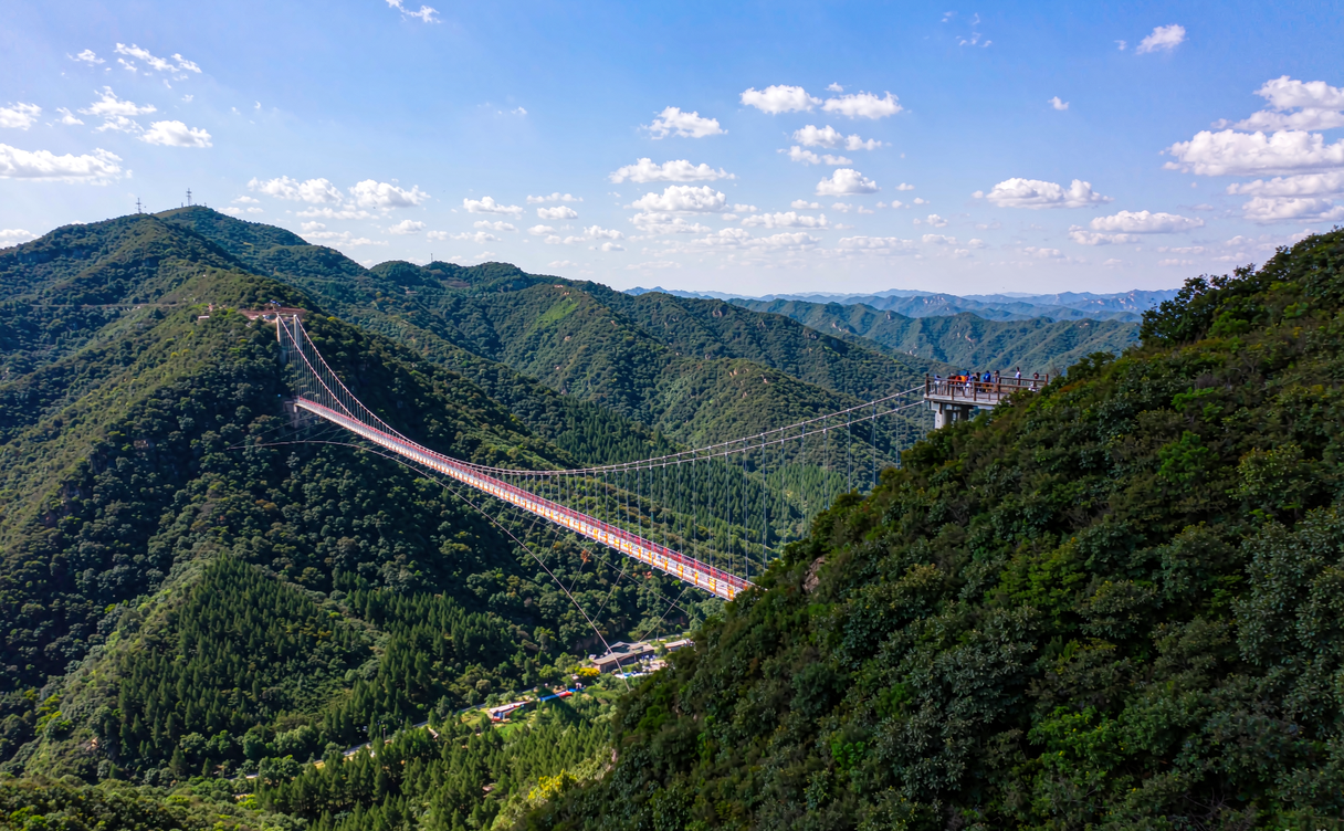 Qixing Peak forest Shuangyashan cable bridge over a deep green valley