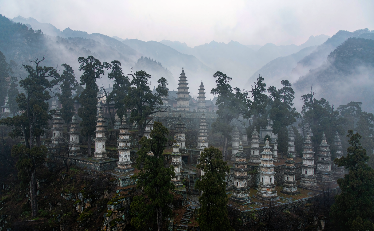 Shaolin Pagoda Forest at dawn