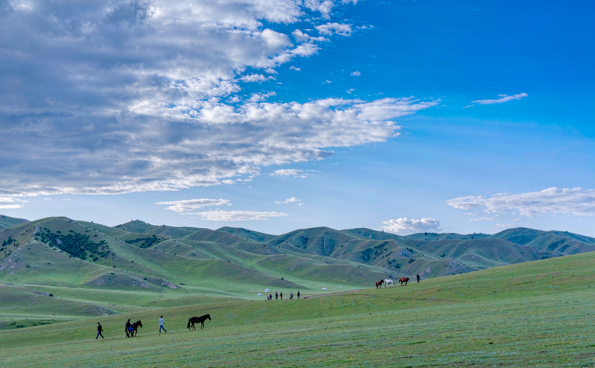 Horses grazing on the rolling Kalajun alpine meadow outside Tekes under a wide blue sky