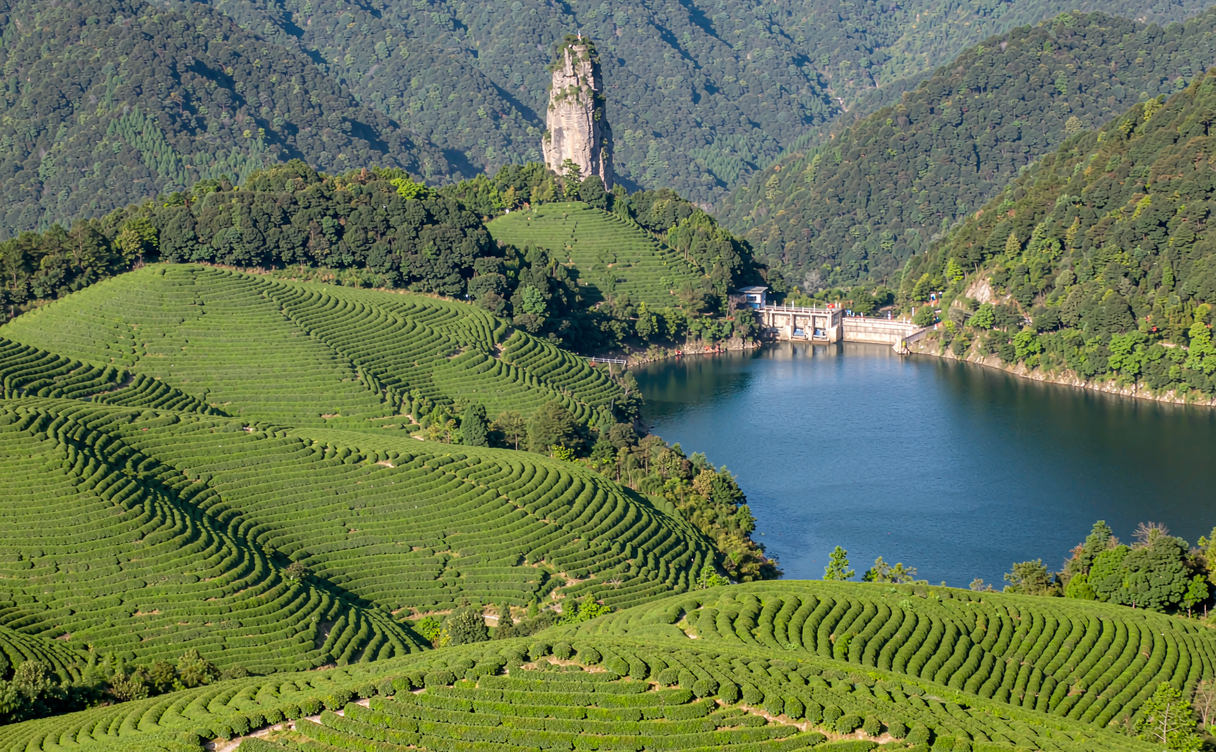 Rolling green tea hills above the lake in Tianmen