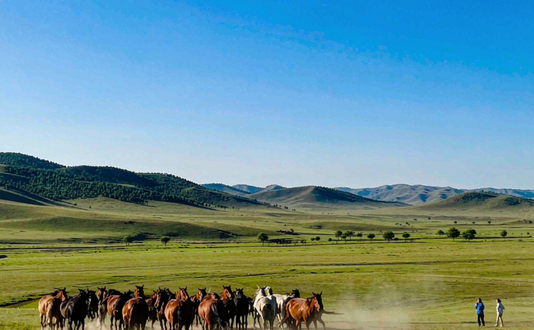 Ulanhot Travel Guide: Inner Mongolia’s First Capital and Grassland Heritage