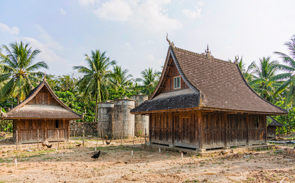 Free-range Wenchang chickens roaming among coconut groves in Wenchang, Hainan