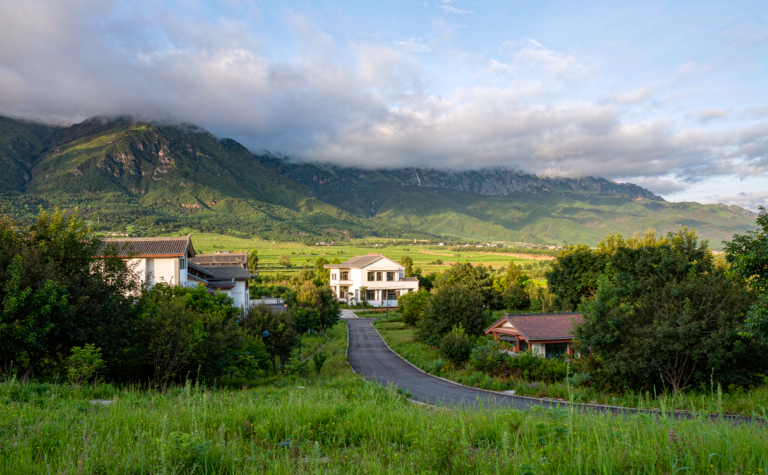 Wolong Panda Reserve: Giant Panda Wilderness near Chengdu