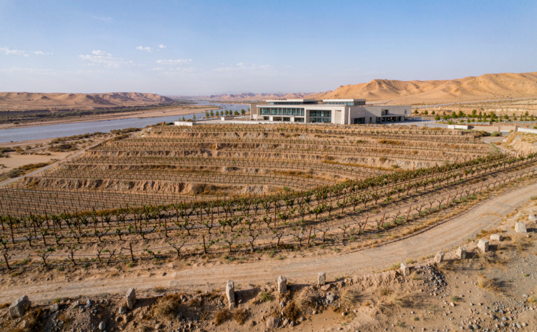 Wuhai Travel Guide: Yellow River Bend, Vineyards and Desert Oasis