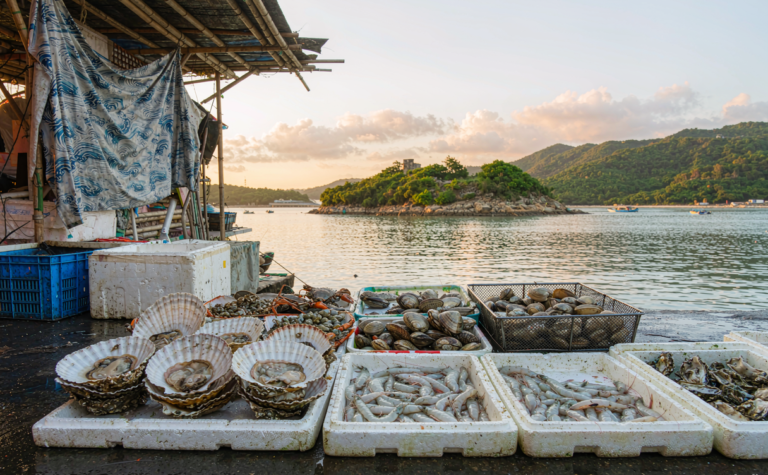 Xiamen Food Guide, China