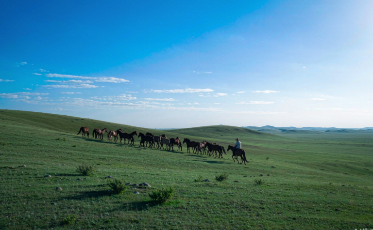 Xilingol Travel Guide: Vast Grassland and Mongolian Horse Culture
