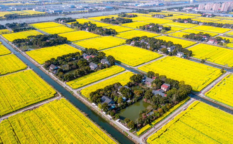 Xinghua Travel Guide, China