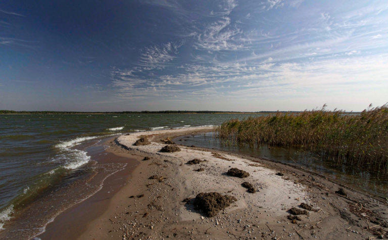 Xingkai Lake Guide: Heilongjiang’s Cross-Border Lake and Reed Marshes