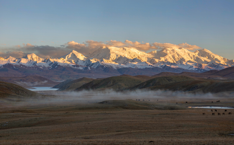 China Nature Reserves Guide