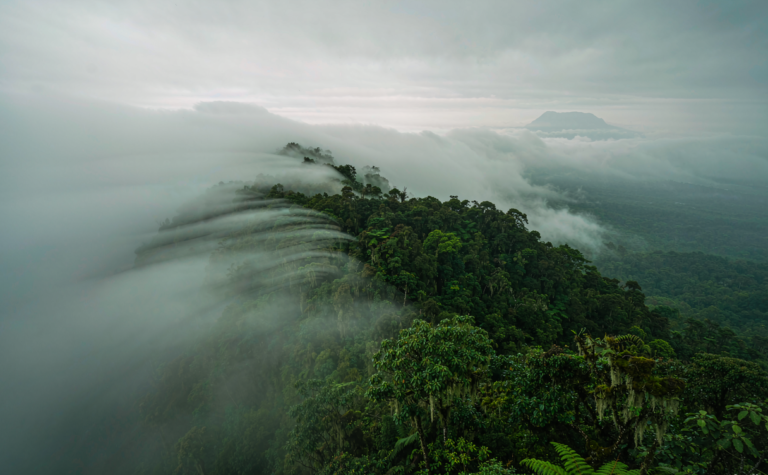 Gaoligong Mountain Guide: Yunnan’s Biodiversity Frontier