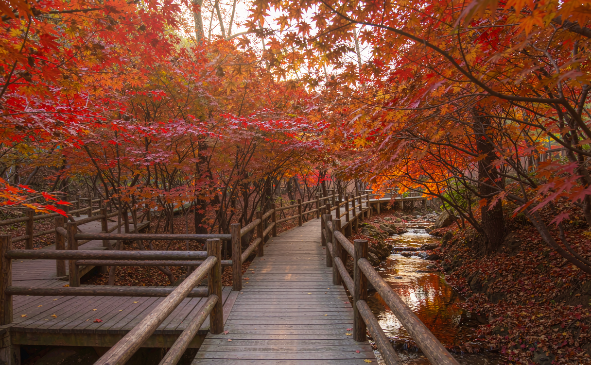 Guangwu Mountain red leaves