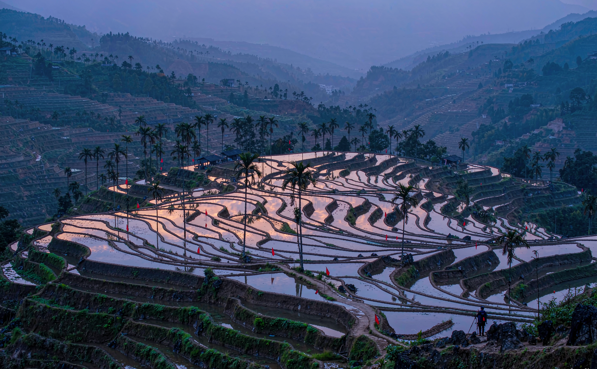 Hani village with traditional houses above rice terraces