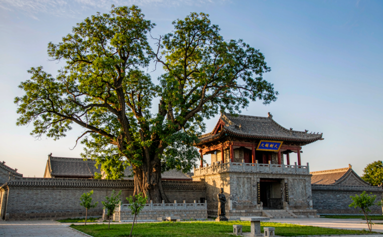 Hongtong Travel Guide: Shanxi’s Great Locust Tree Homeland