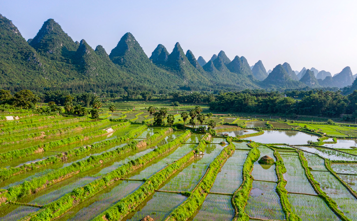 Terraced rice fields beneath green karst towers in Jingxi, Guangxi, China