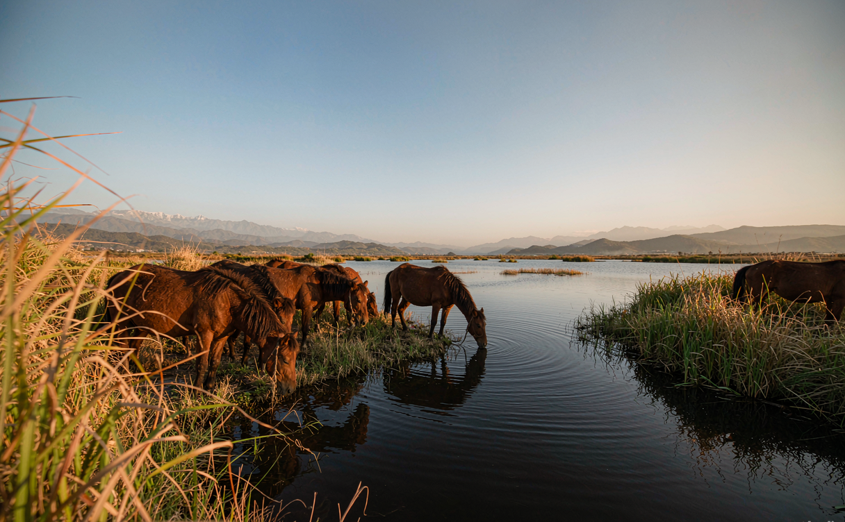 Lashihai Lijiang wetland with horse trail and hills