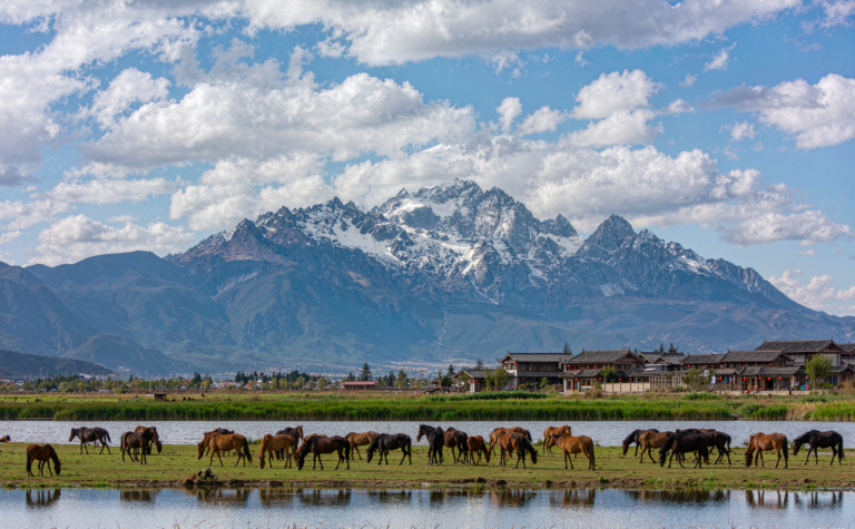 Lashihai Lake Guide: Lijiang’s Wetland and Horse Trails