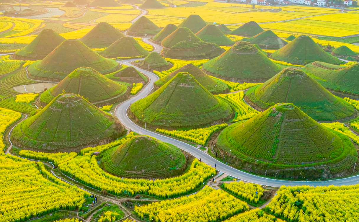 Luoping canola flower fields with karst hills in Yunnan