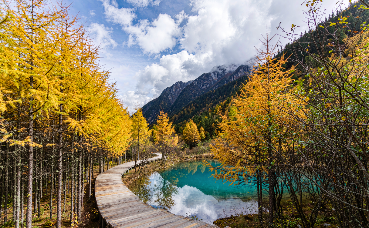 Miyalu valley autumn colours