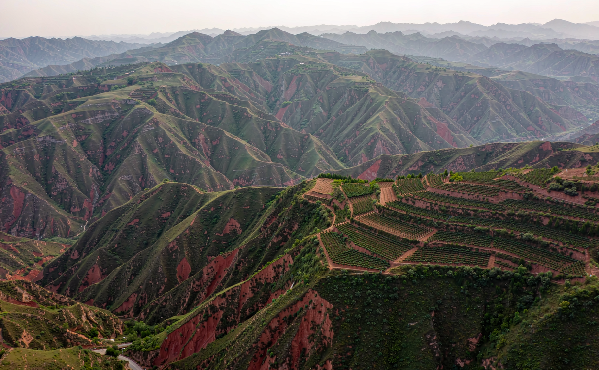 Terraced red-soil hills and vineyards around Renhuai, Guizhou, China