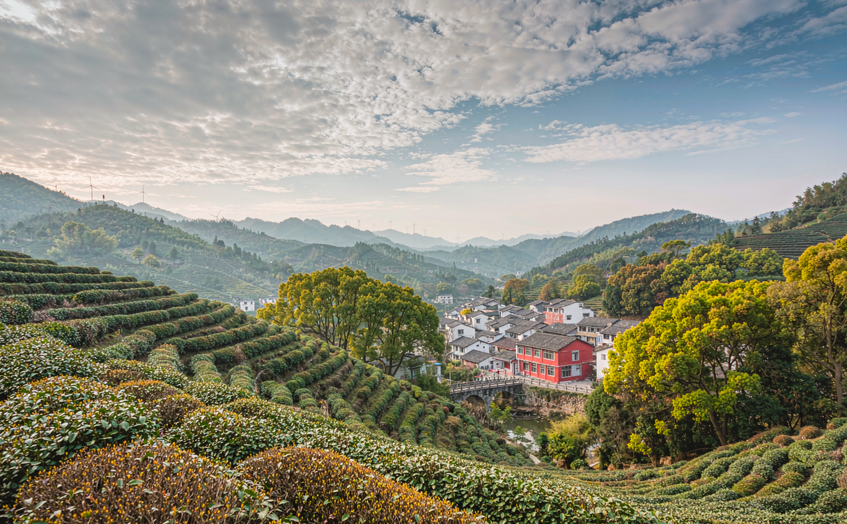 Terraced tea hills and a village bridge in Taishun, Zhejiang, China