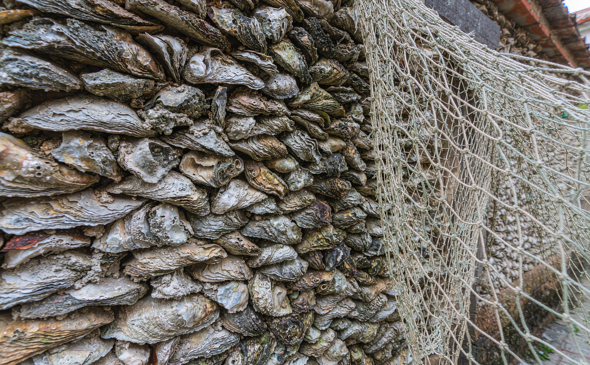 Oyster shell house walls in Xunpu village